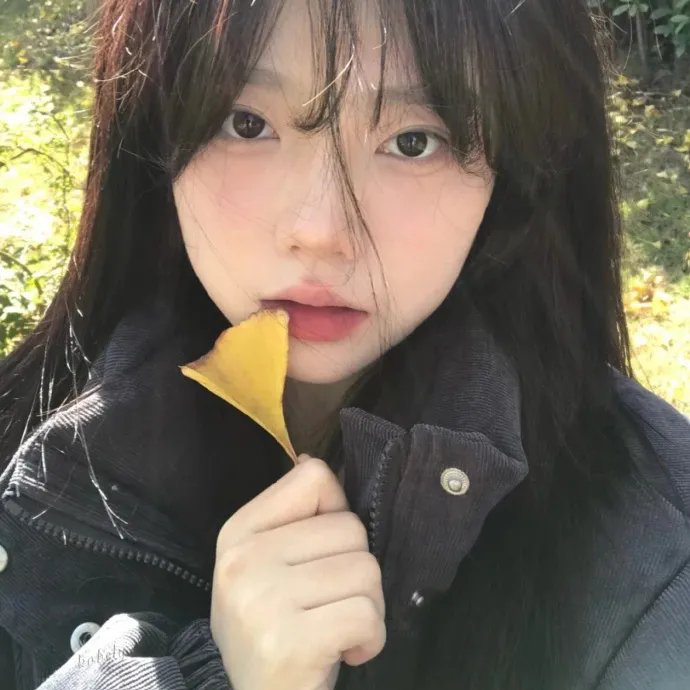 他她他她